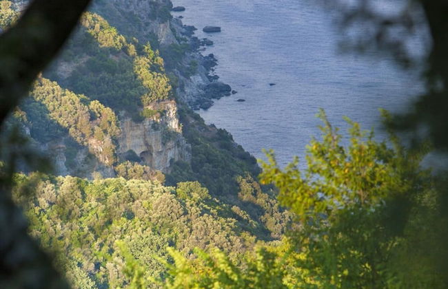 Villa Calisto in Sant Agnello - Photo 46