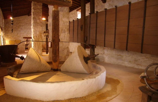 Visita guidata del Museo dell'Ulivo + Degustazione - Foto 7