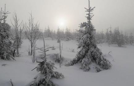 Apartment Schoenblick - Foto 18