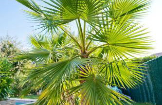 Villa Quietude - Foto 44