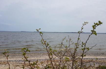 Zeit für Erholung, Ferienhaus A&C Usedom - Foto 15