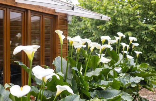 Le chalet sur Manoire - Foto 33