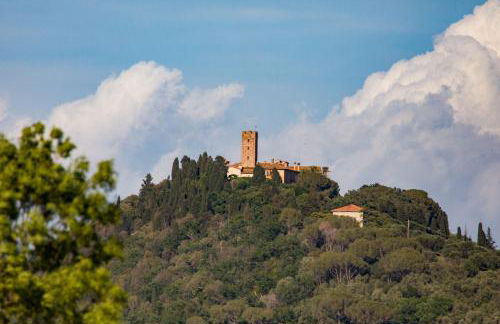 Agriturismo Podere Pizzicagallo - Foto 31