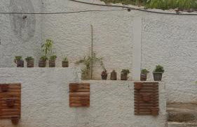 Sítio Vô Nono - Foto 9