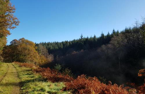 Hidden Gem near the beach with pool table - Foto 41