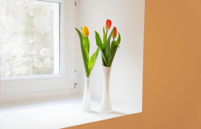 Split Oasis Apartments - Photo 41