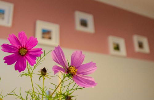 Fewo Lindenstrasse - Foto 23