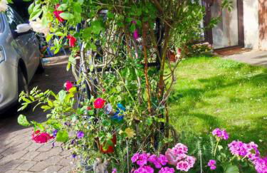 FUTUROGITE - Foto 21