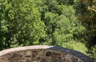 Bioagriturismo il cerreto - Foto 18