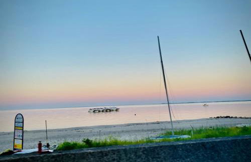 PANORAMIC FeWo SEESCHWALBE - Pool - Familien - strandnah - Hunde - Photo 11