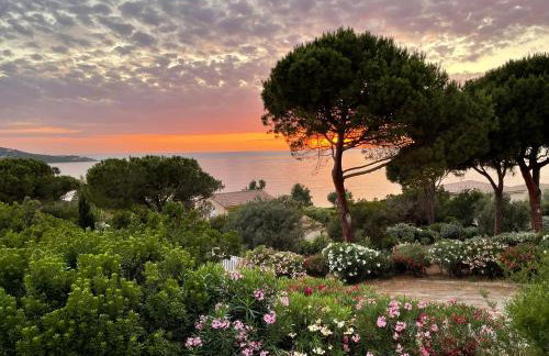 Costa di fiori - Photo 1