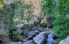 Chez Christophe Valensole - Photo 20