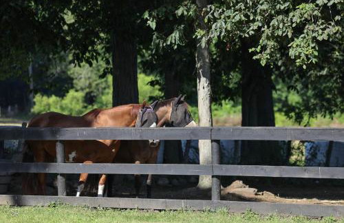 The Horse Carriage 2 Miles From Foxwoods Casino - Foto 17