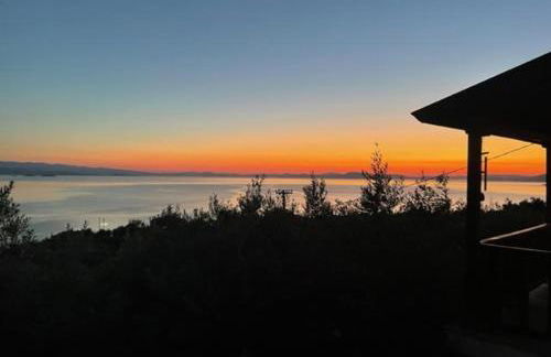 Olive Grove House - Foto 47