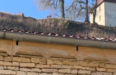 jolie maison dans petit village - Foto 2