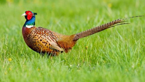 Relaxing Retreat on the edge of the Cotswolds - Foto 5