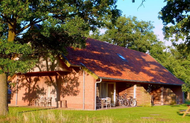 Holiday Home in Geesteren With Roof Terrace,garden Furniture - Photo 48
