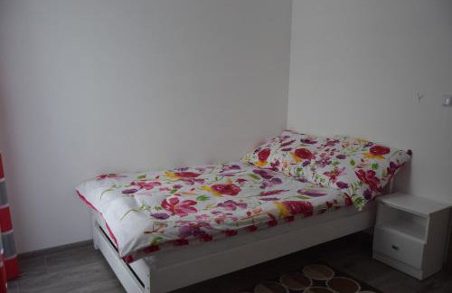 Noclegi u Eweliny - Foto 12