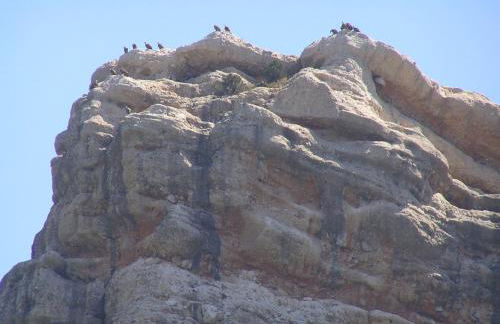 Mas de Nofre - Foto 56