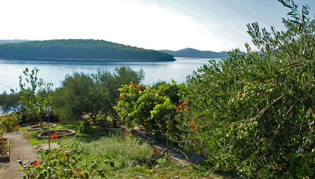 Agneza - Foto 5, Outdoor