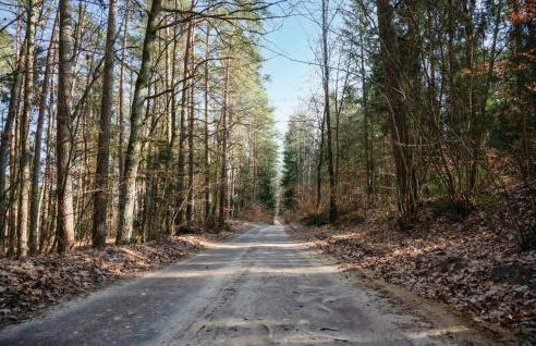 Amazing Home In Gietrzwald - Foto 8