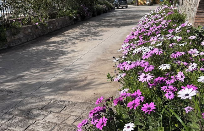 Verga Apartments & Suites - Foto 46