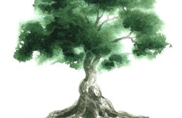 Pavliani House - Foto 32