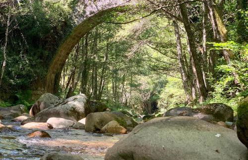 Casa do avô Serafim - Photo 11