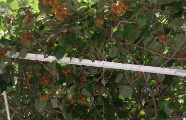 Friendly Apartments - Photo 38