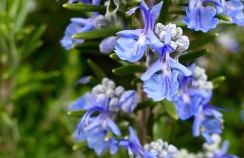 Agriturismo San Michele di Danio Giovanni - Foto 25