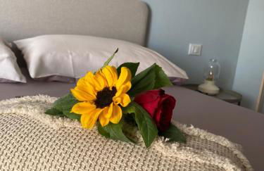 Vestra Domus - Foto 36