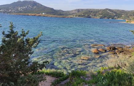 Urbi Garden - Foto 11