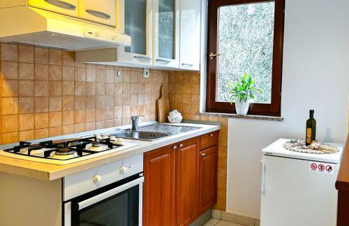 apartman MLIN 4 - Foto 17