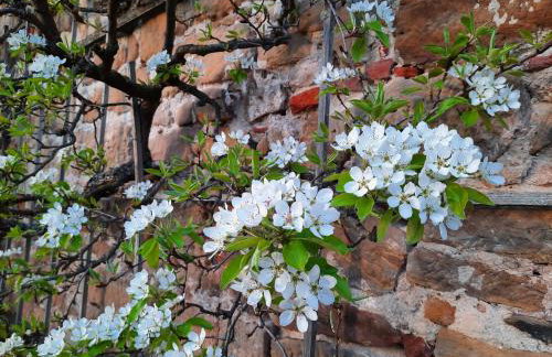 Ferienwohnung Schloss Fischbach - Foto 31