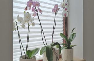 A Casa di Ale - Foto 18