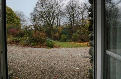 Low Jock Scar - Foto 22