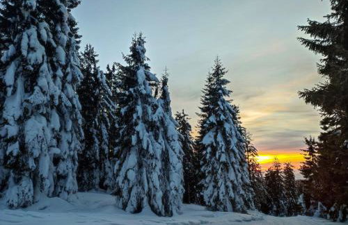 Stara Plebania - Foto 39
