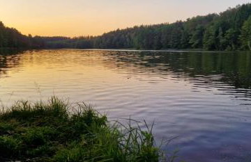 Leśna Ostoja - Foto 21