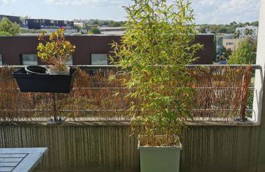 Appart T1bis Malbosc - Foto 7