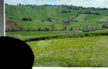 Ritorno alla Natura - Foto 19