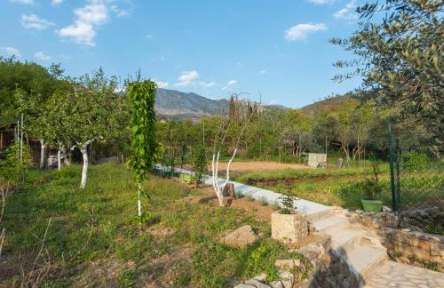Peace Point - Photo 34