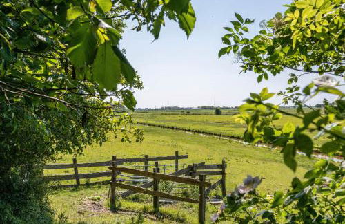 Fewo Silke Dethlefsen - Foto 17