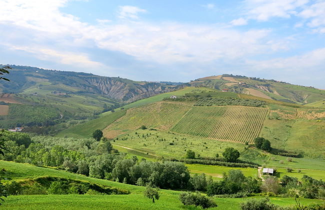 I Due Carpini - Foto 7