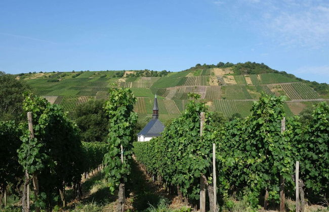 Apartment in the Hunsruck Region's Drohn Valley - Photo 28