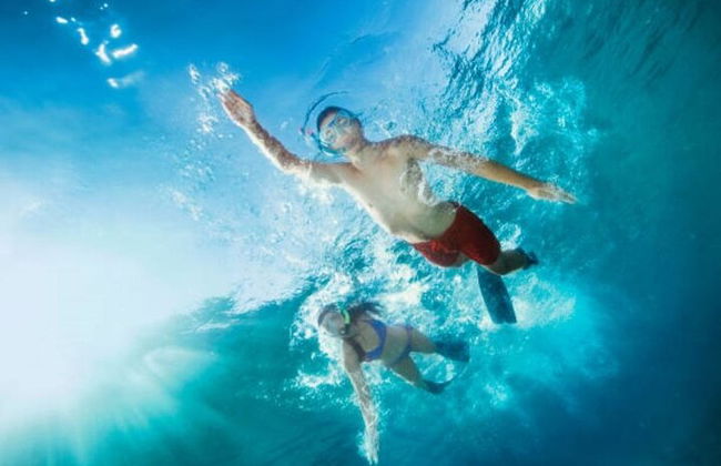 Snorkeling compartilhado de dia inteiro nas Ilhas Hamata saindo de Marsa Alam - Foto 13