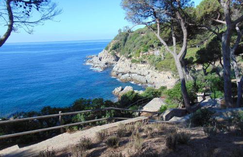 APARTAMENTO con TERRAZA VISTAS AL MAR - Foto 51