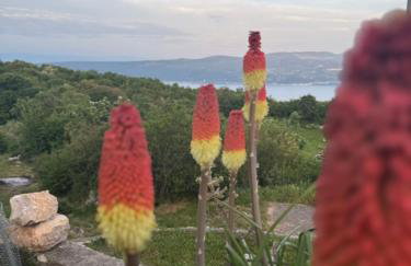 Apartman Fonovici - Foto 51