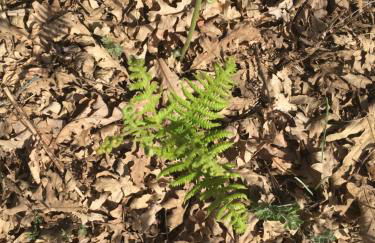 Apartamentos El Capricho - Foto 24