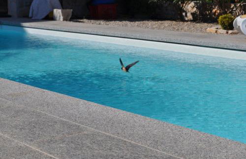 Apartments Villa Lora - Foto 8