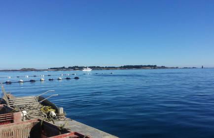 Chambres d'Hôtes de la Presqu'Île - Foto 26